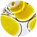 Vitamin D3